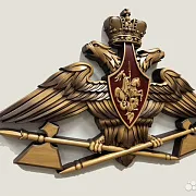 Подарочный резной герб МТО ВС РФ из бука — фотография 2