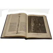 Библия в гравюрах Гюстава Доре — книга в кожаном переплёте — красивый подарок — фотография 2