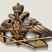 Подарочный резной герб МТО ВС РФ из бука — фотография 3