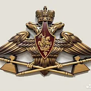 Подарочный резной герб МТО ВС РФ из бука — фотография 1