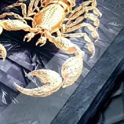 Нарды под стеклом «Скорпион» в подарок — фотография 1